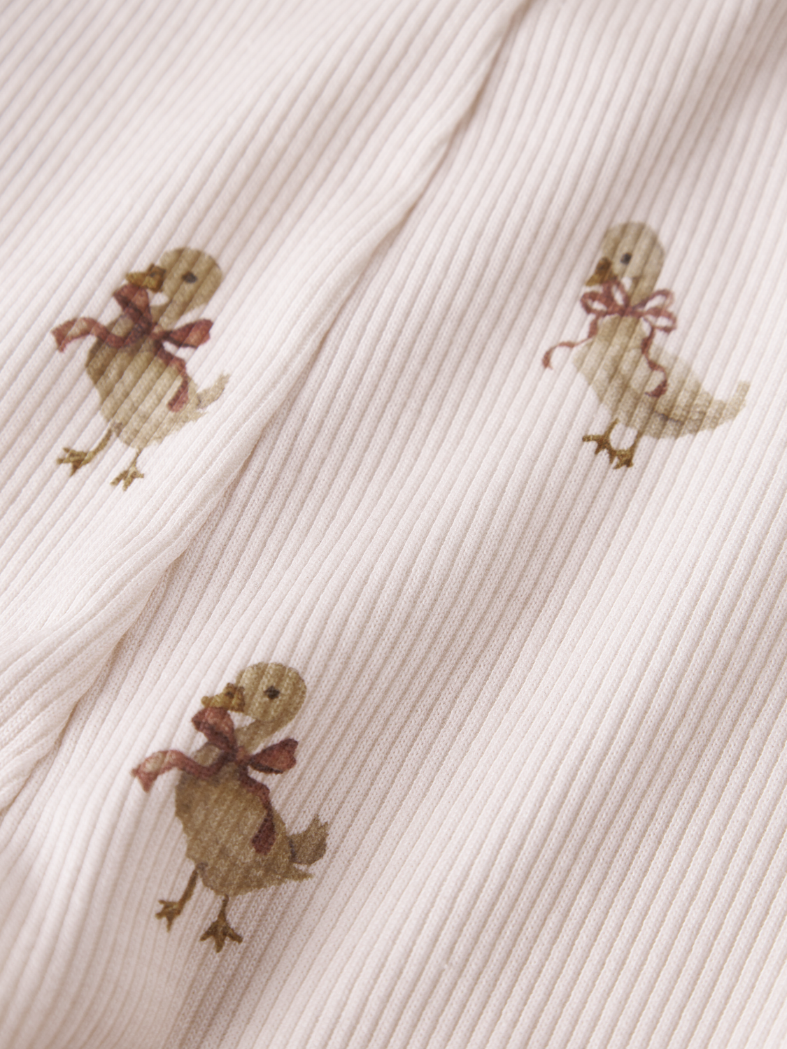 model_shot-front_full